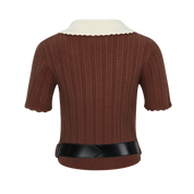 Brown Colorblock Knit Short-Sleeve Top