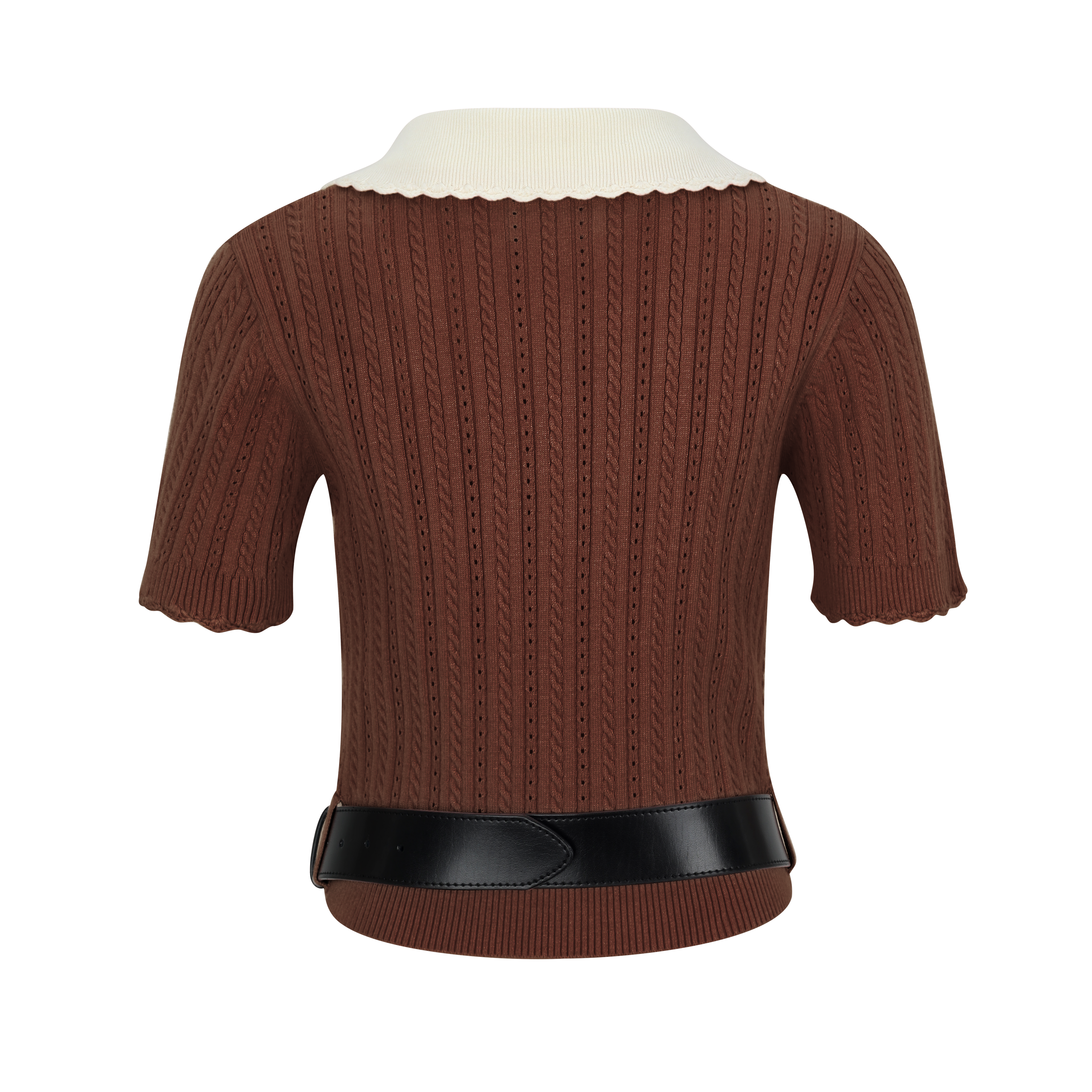 Brown Colorblock Knit Short-Sleeve Top