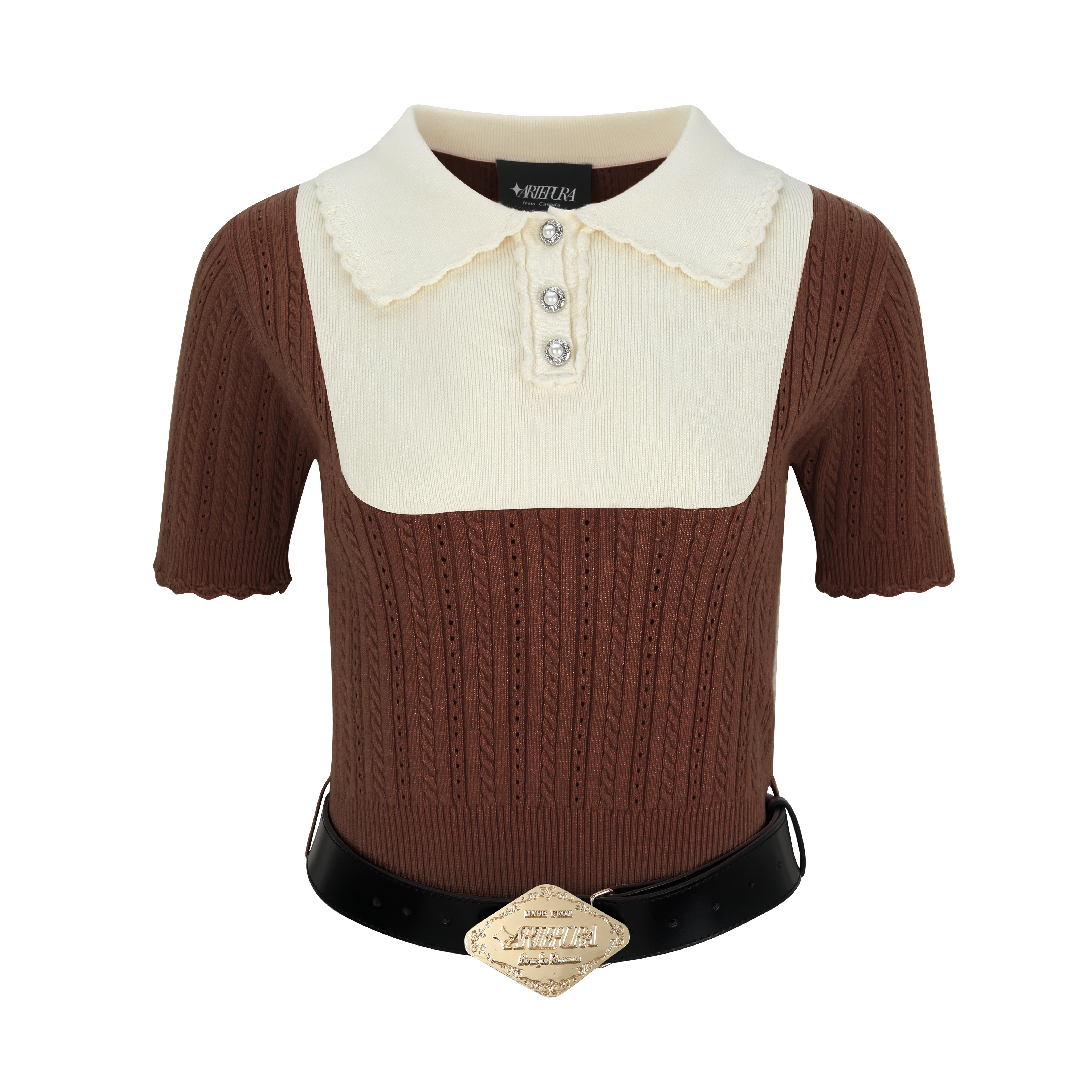 Brown Colorblock Knit Short-Sleeve Top